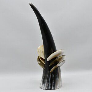 Polished Cow Horn Coasters With Polished Cow Horn Stand